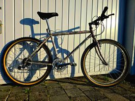 1990 diamond back ascent ex Kult MTB